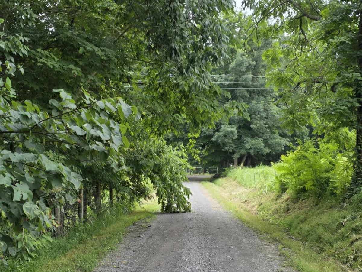 Holland Road - Macon County Tour photo 3