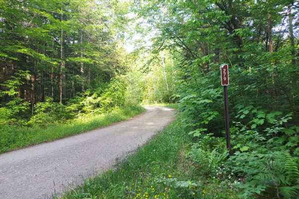 Tabor Brook Trail