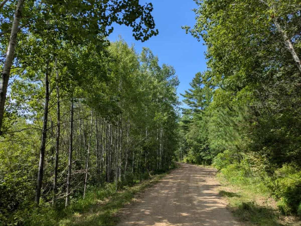 Hungry Gulch Road trail photo