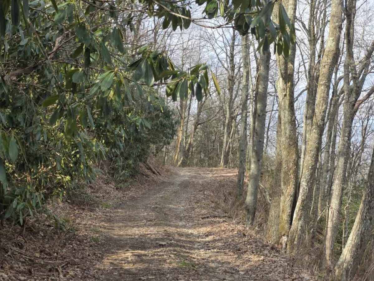 Ephraim Road - FS 5583 photo 5
