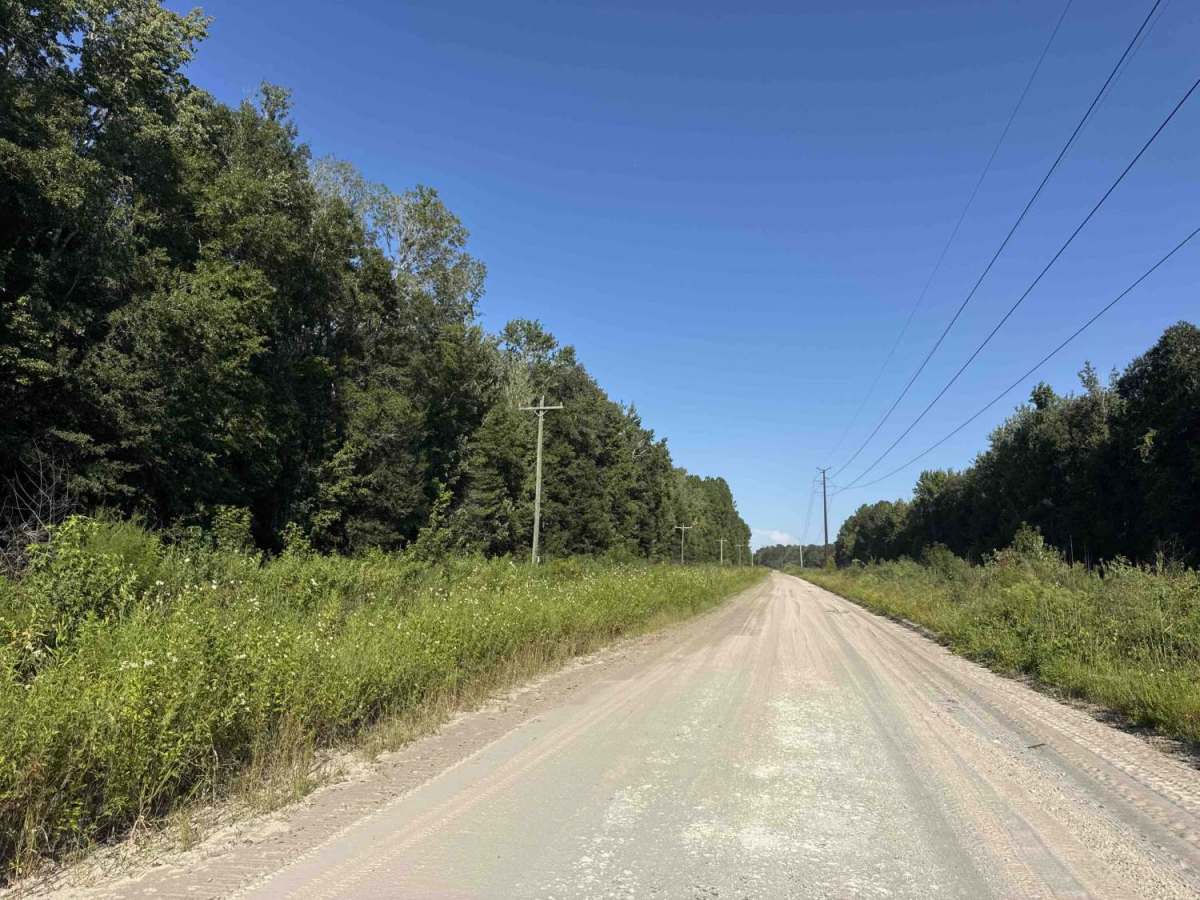 Old Starke Road photo 4