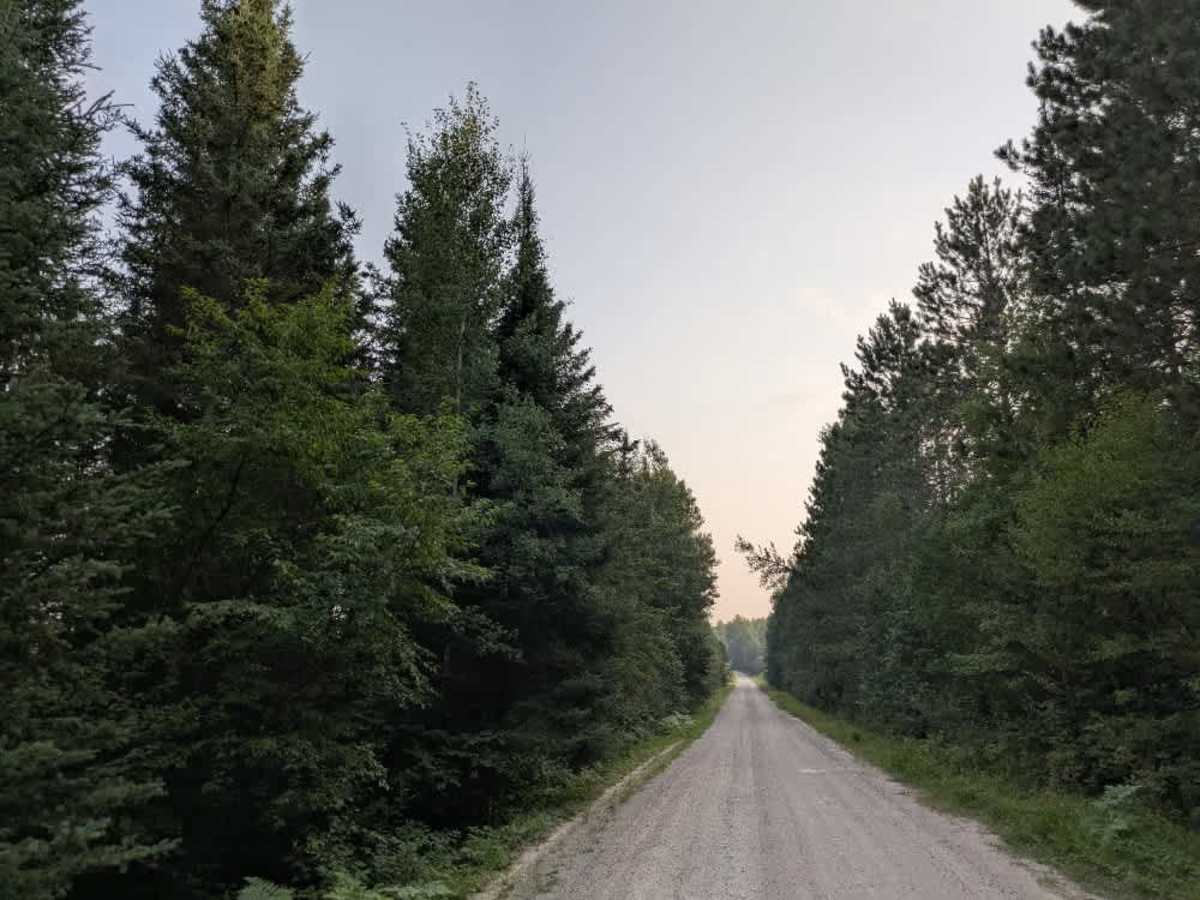 Elbow Lake photo 2