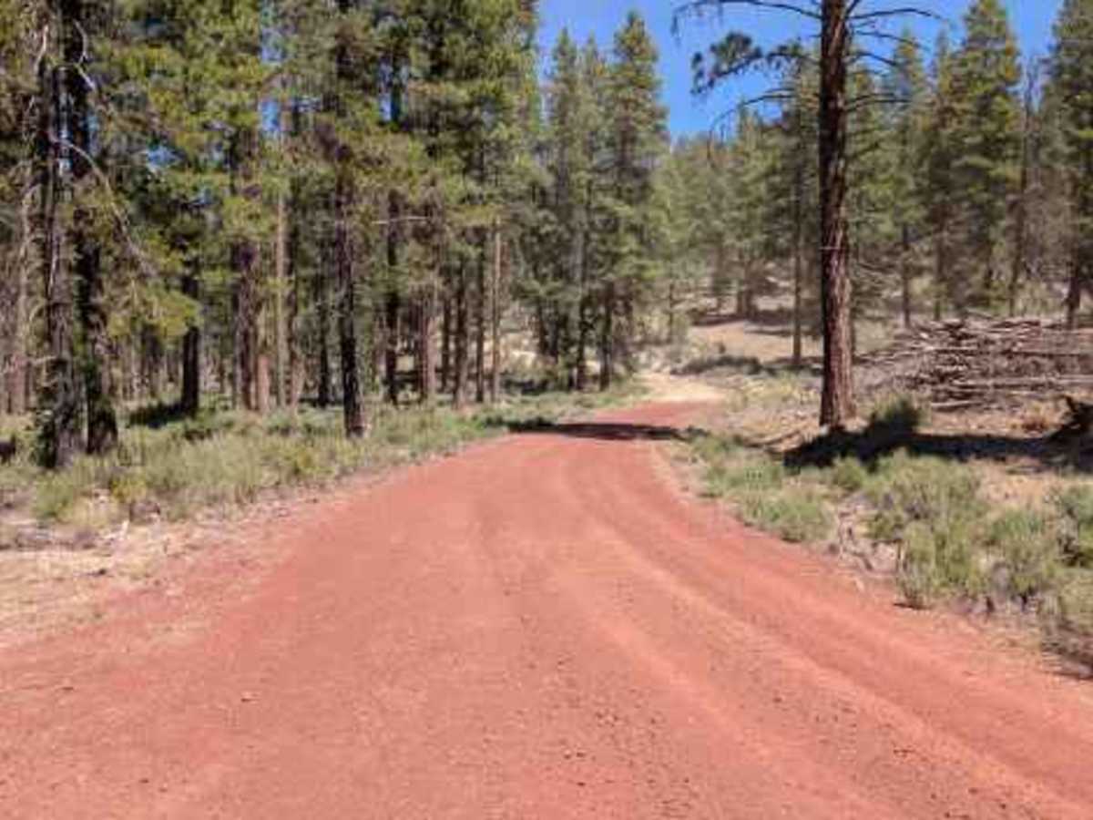 FS 4301130 trail photo