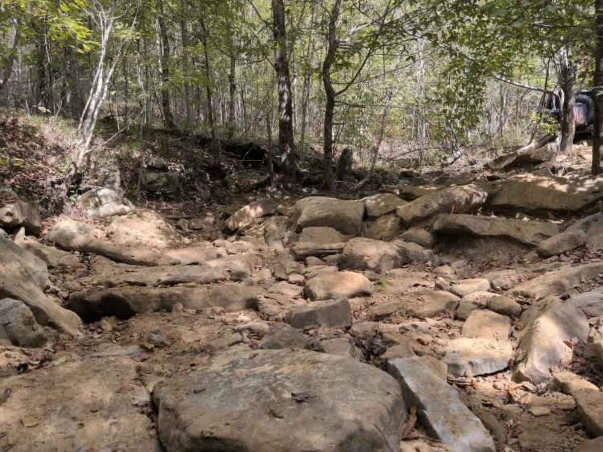 #39 Brokefoot Lower trail photo