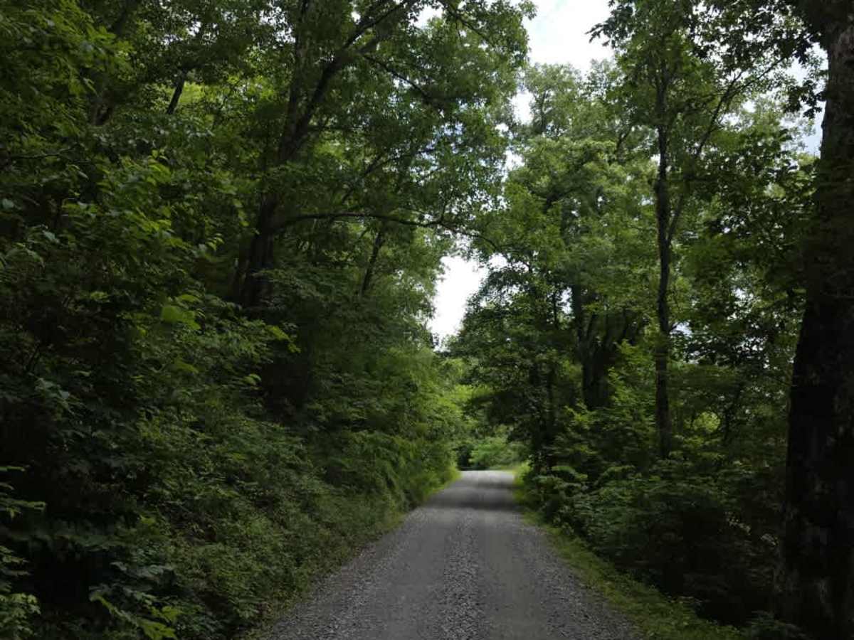 River Road photo 2