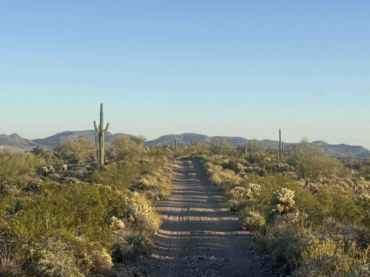 Cow Creek Ridge  trail photo