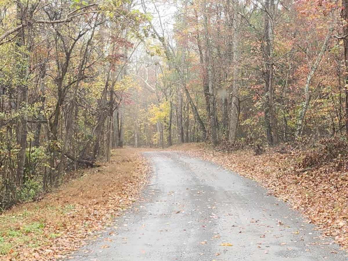 Goose Horn Road - Macon County Tour photo 2