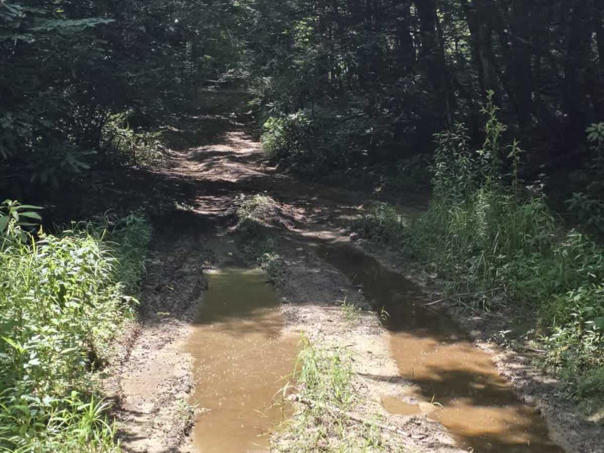Locust Thorn Ridge photo 4