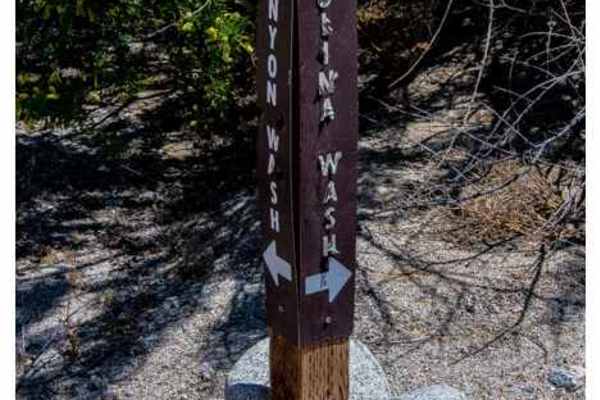 Nolina Wash Road
