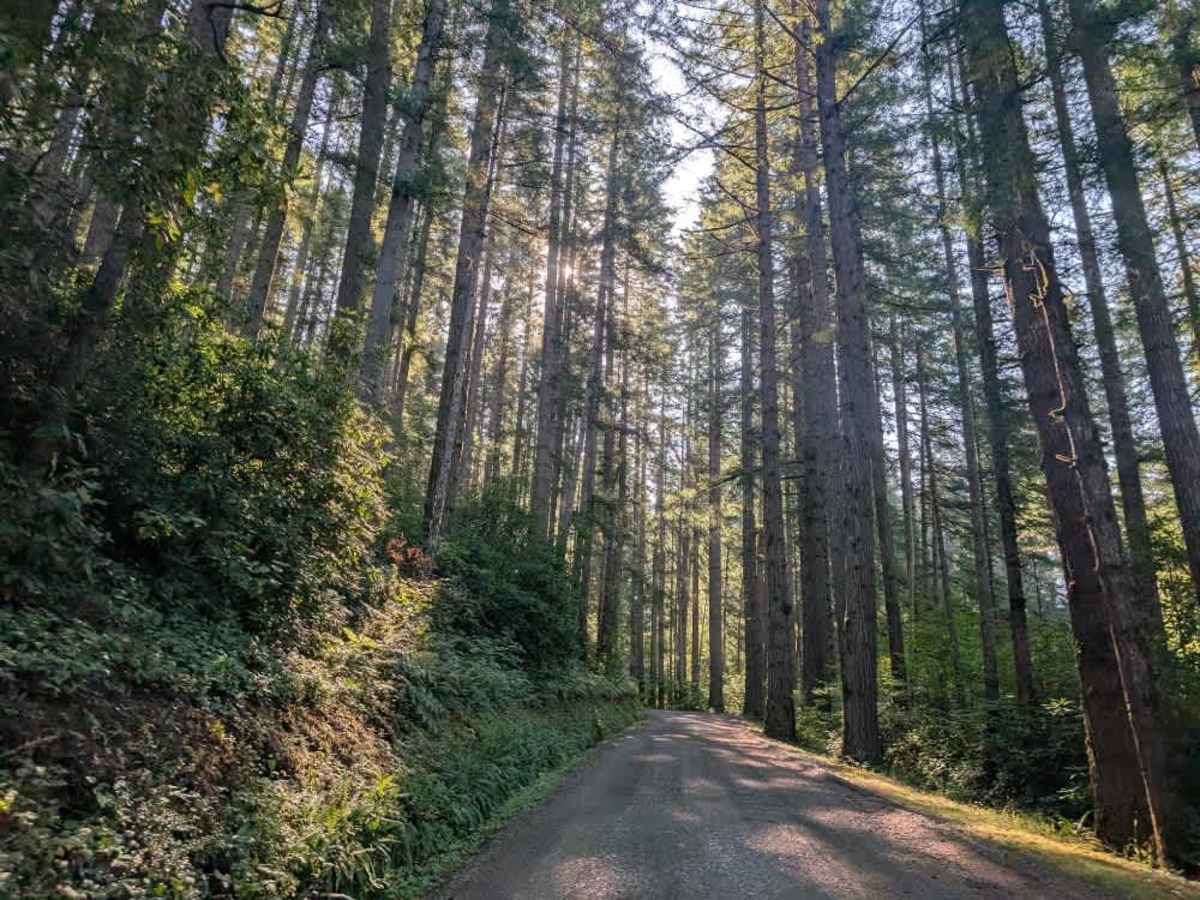 FS 5070 photo 2