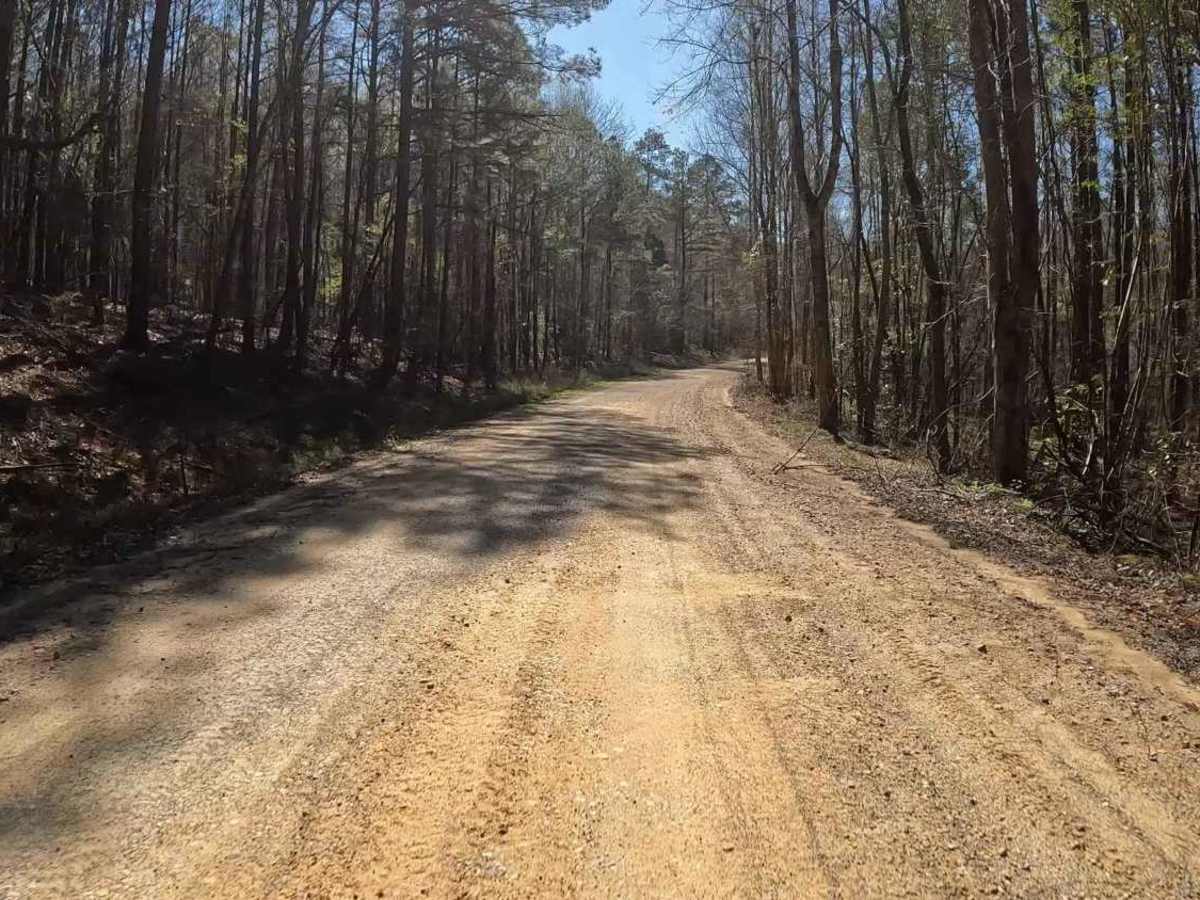 Vick Road - FS 412 photo 3