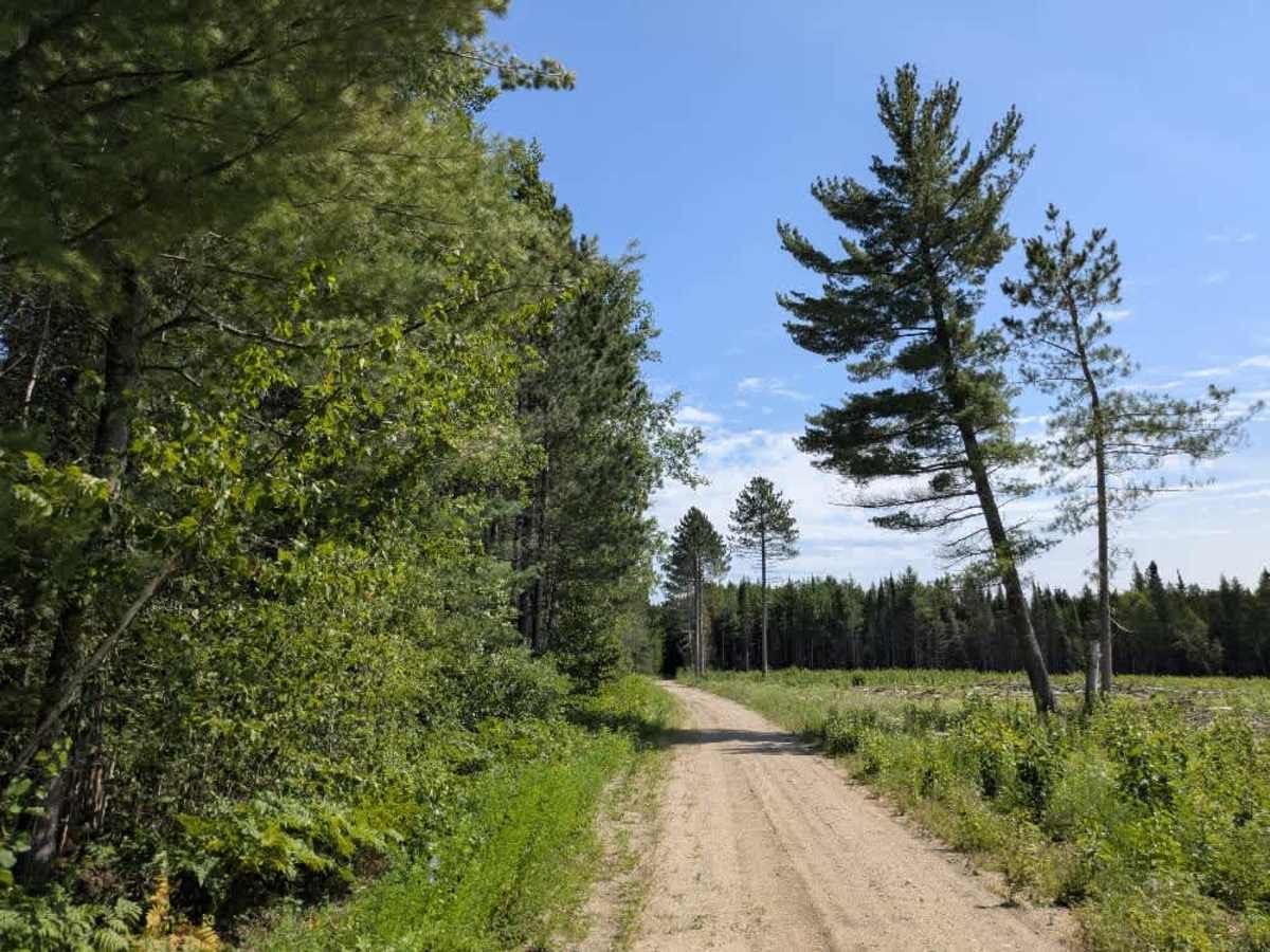 Spina Trail photo 6