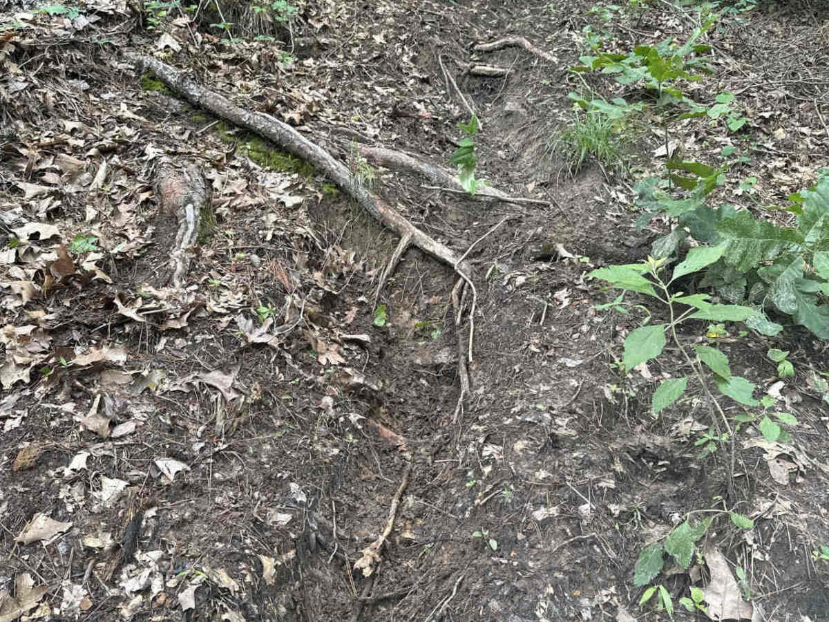 Jacob's Revenge trail photo