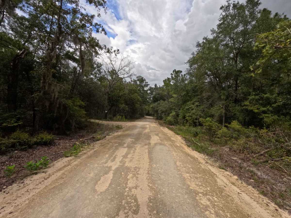 Ellis Ford Road photo 3