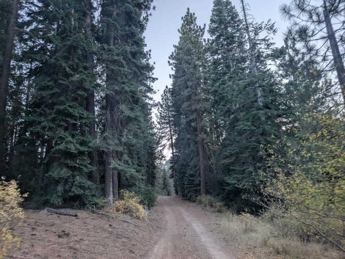 FS 23N15Y trail photo