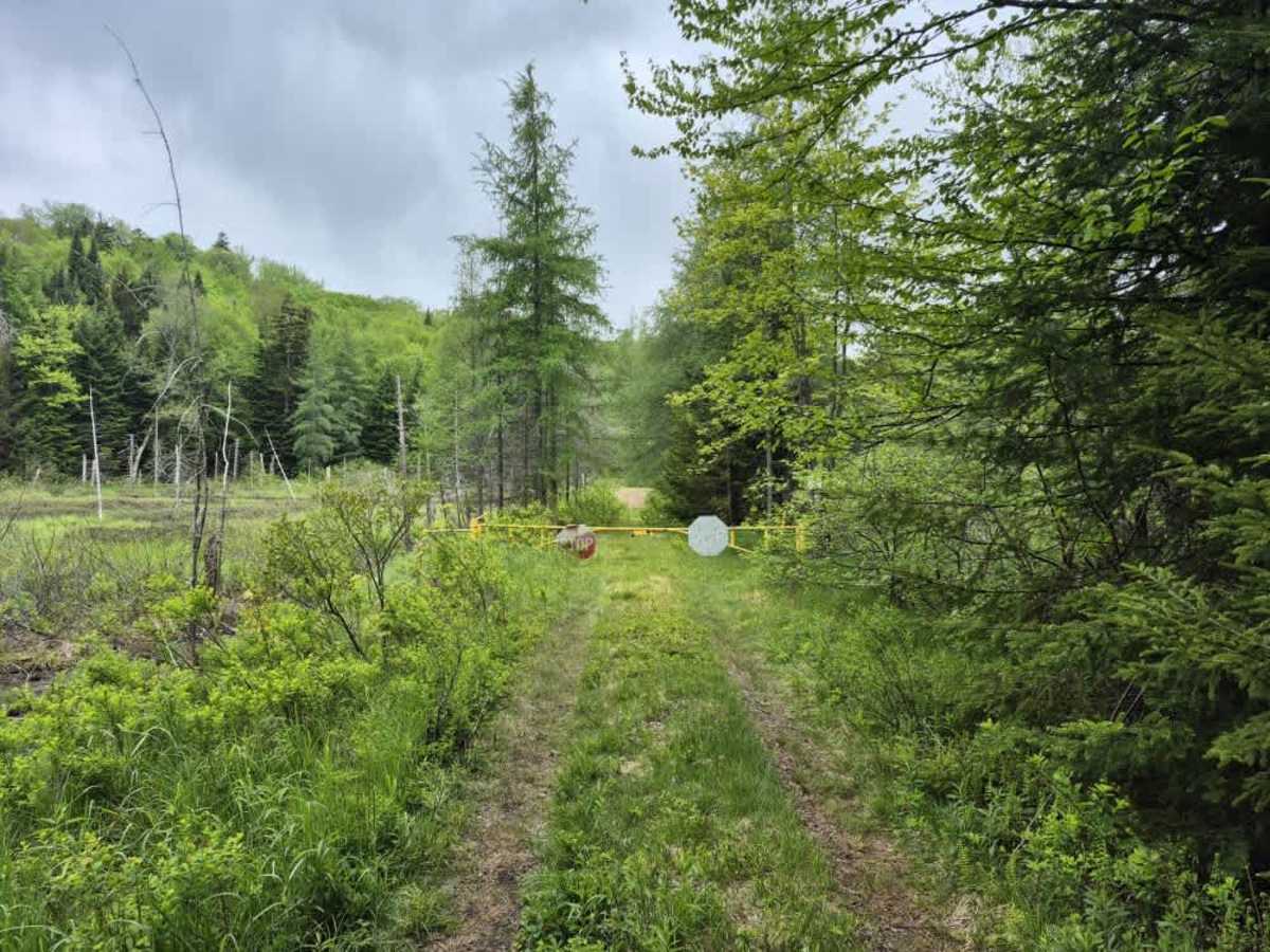 Otter Brook Road photo 5