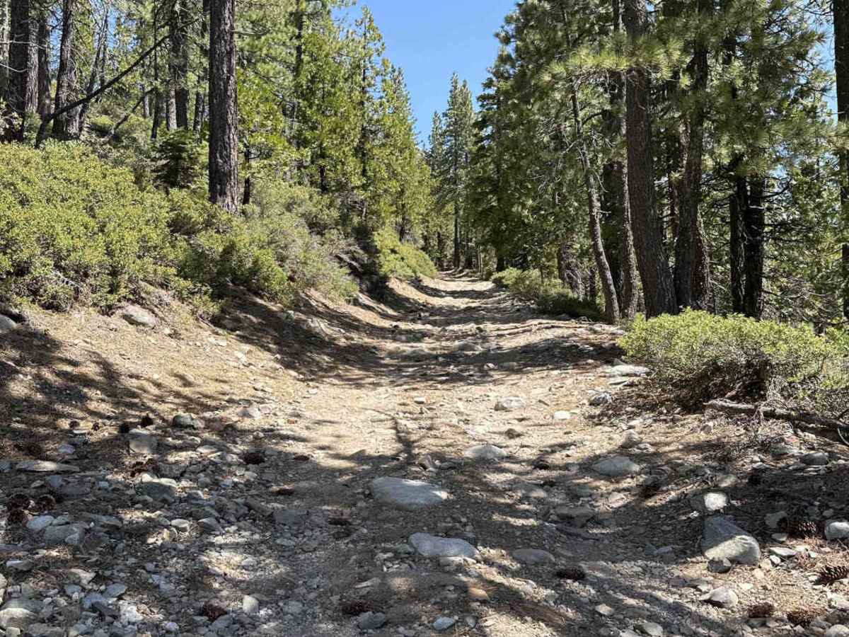 Weaver Lake trail photo