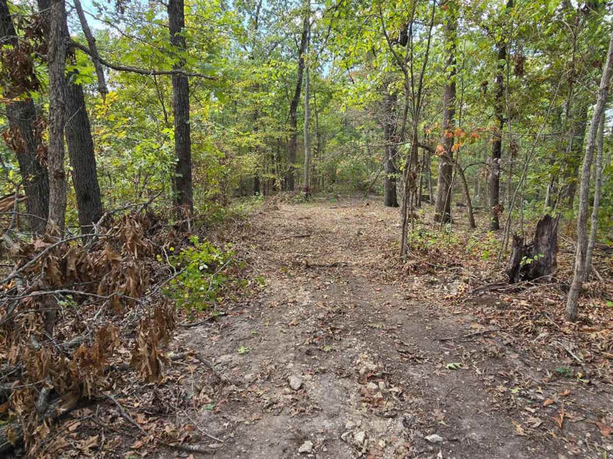 Fur Road trail photo