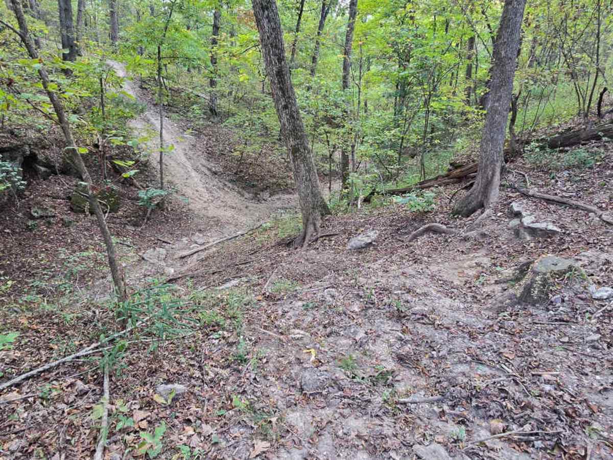 Barely Hung Trail photo 3