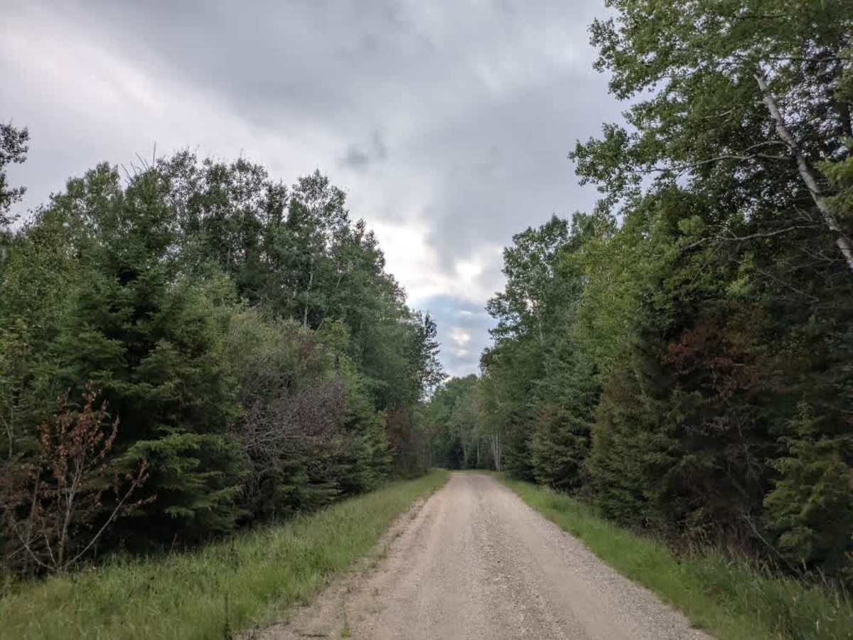 County Road 80 photo 6