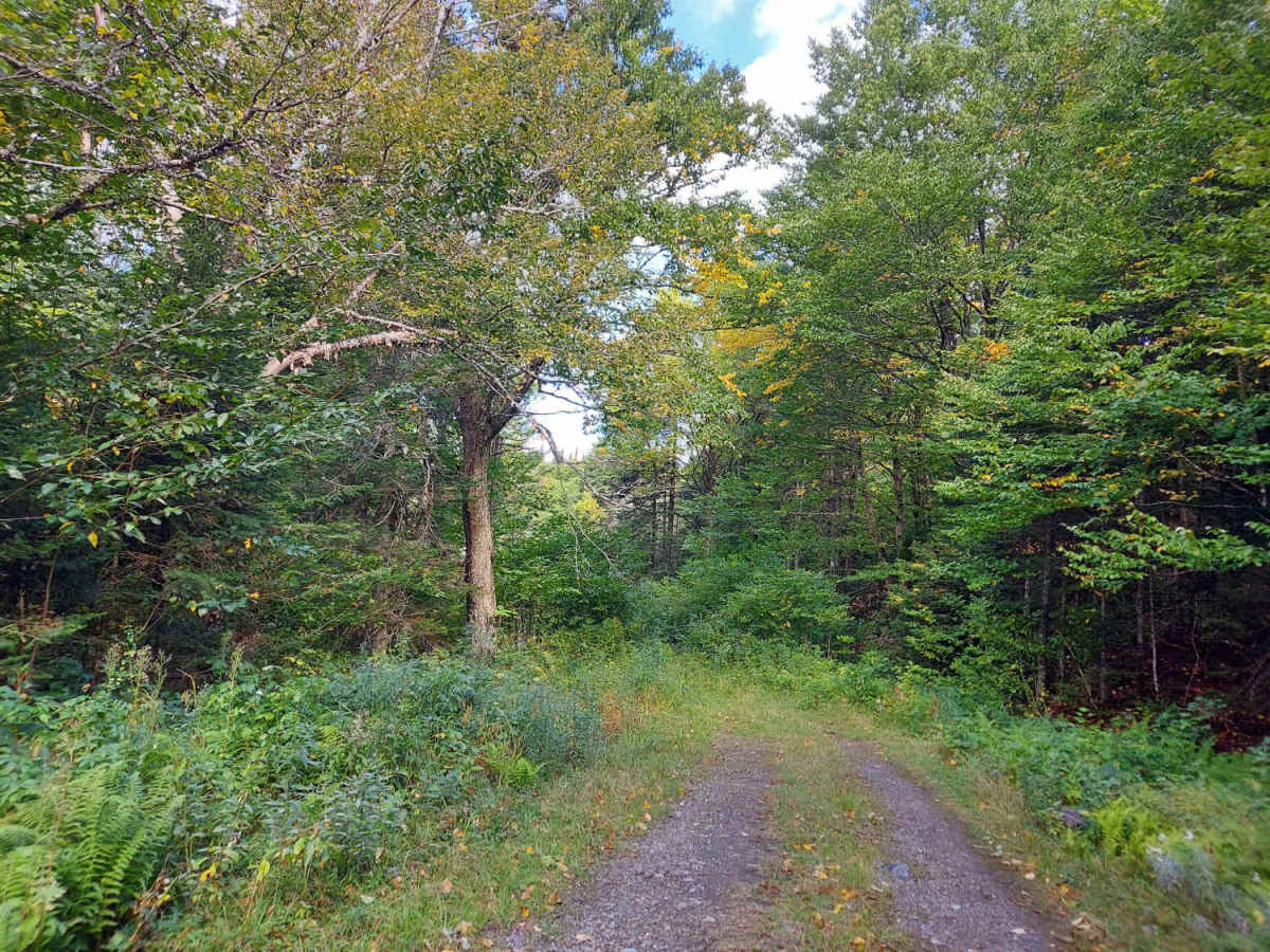 Scott Bog Road photo 6