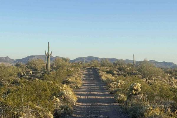 Cow Creek Ridge 