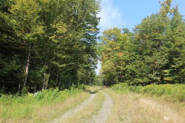 Roaring Brook Trail