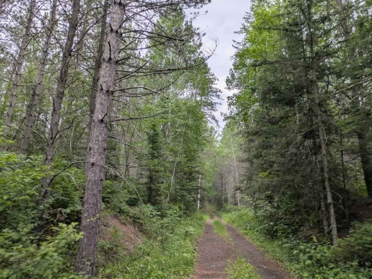 August Creek  trail photo