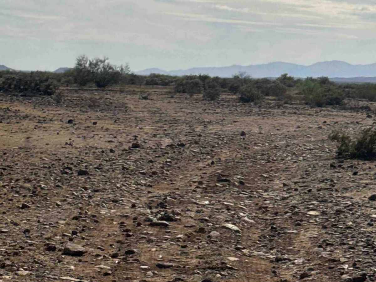 Trail of Opportunity  photo 3
