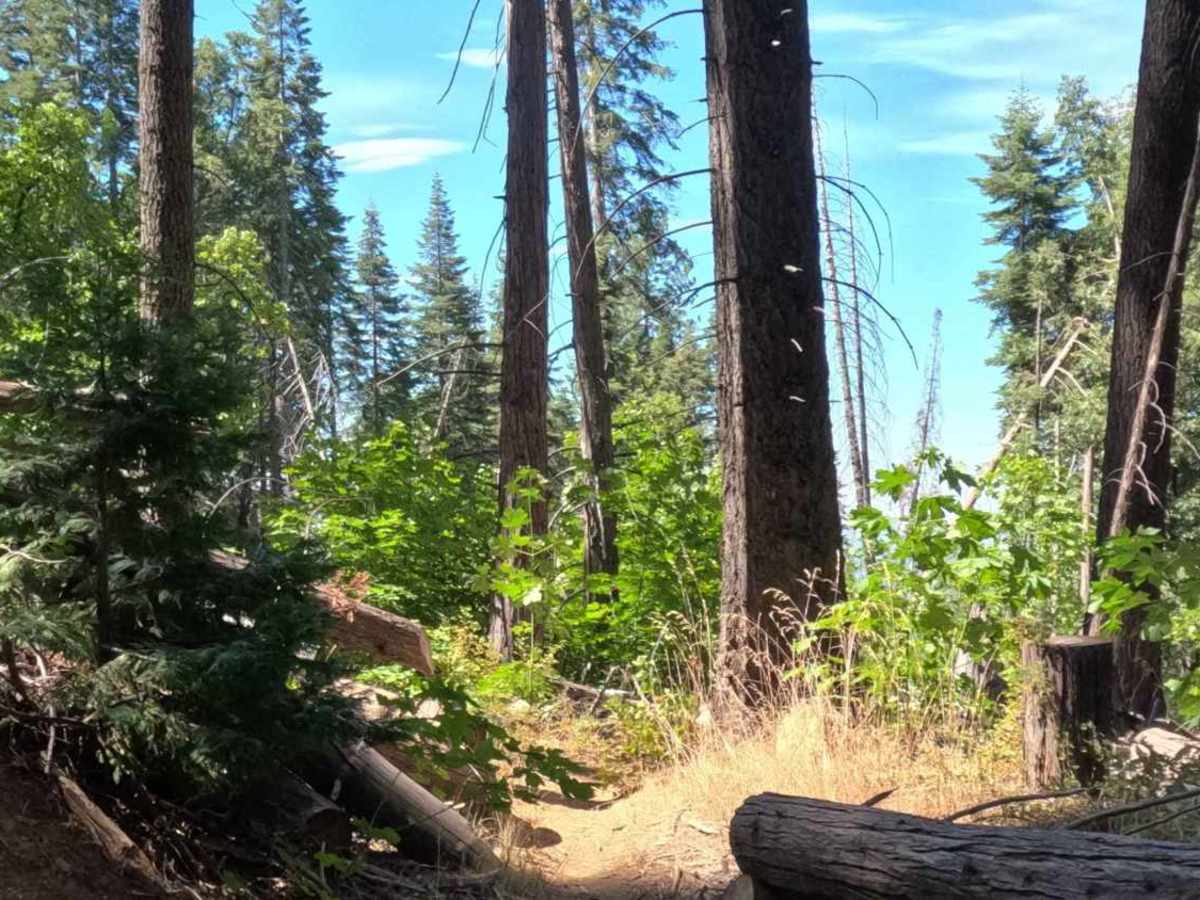 Grant Grade Tollroad II - FS 5S020X photo 2