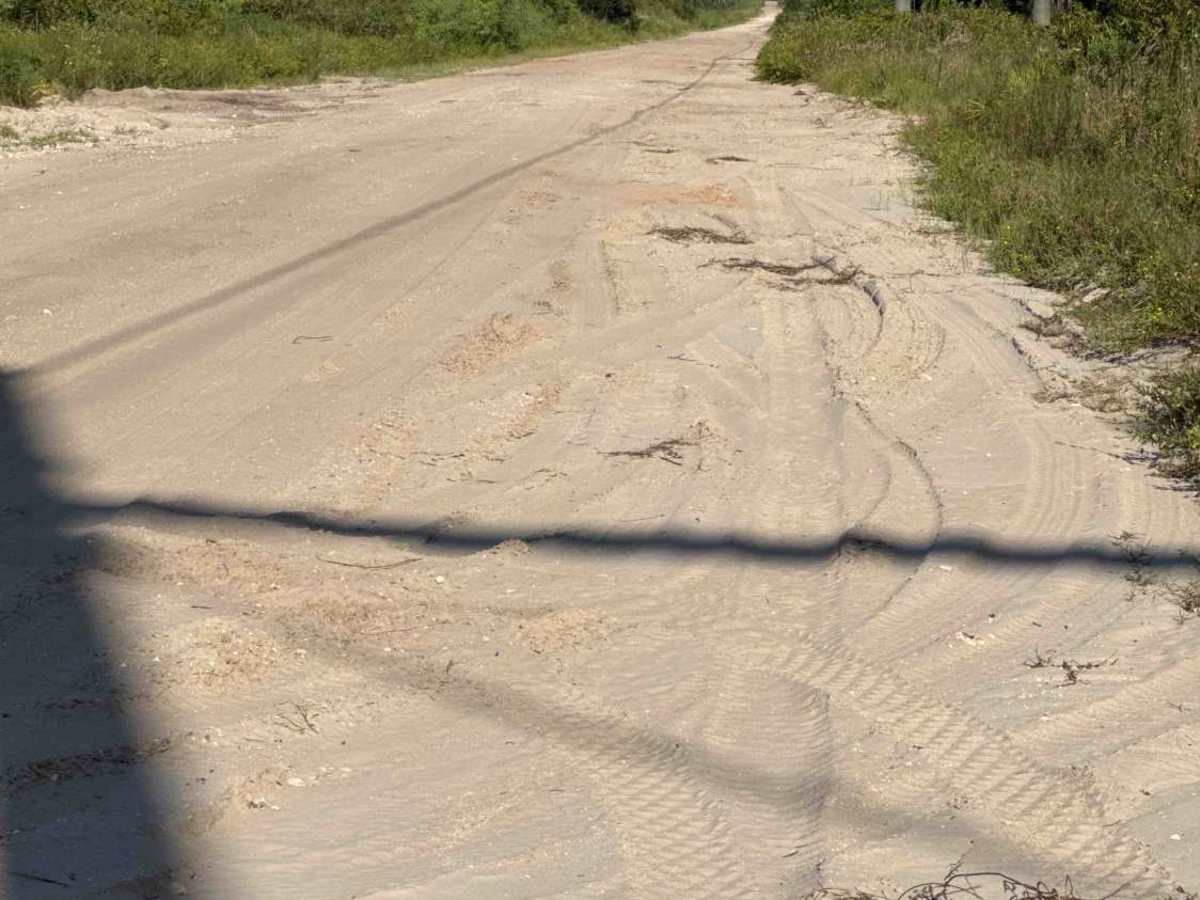 Old Starke Road photo 6