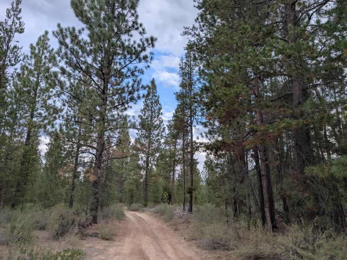 FS 4400330, Oregon | Off-Road Trail Maps, Difficulty, Trail Status ...