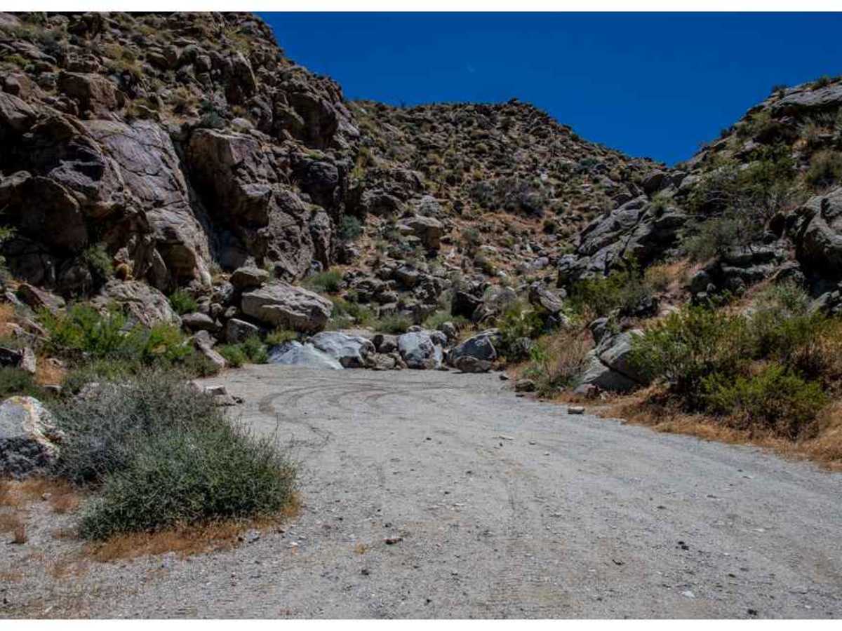 Plum Canyon Road photo 4