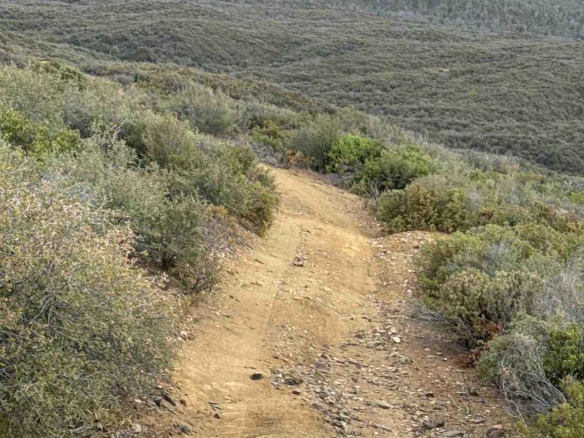 Bradshaw Trail - FS 9222C photo 4