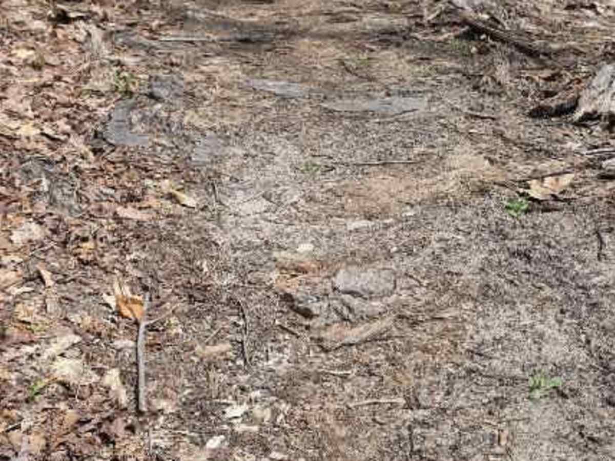 Natural Dam Trail photo 3