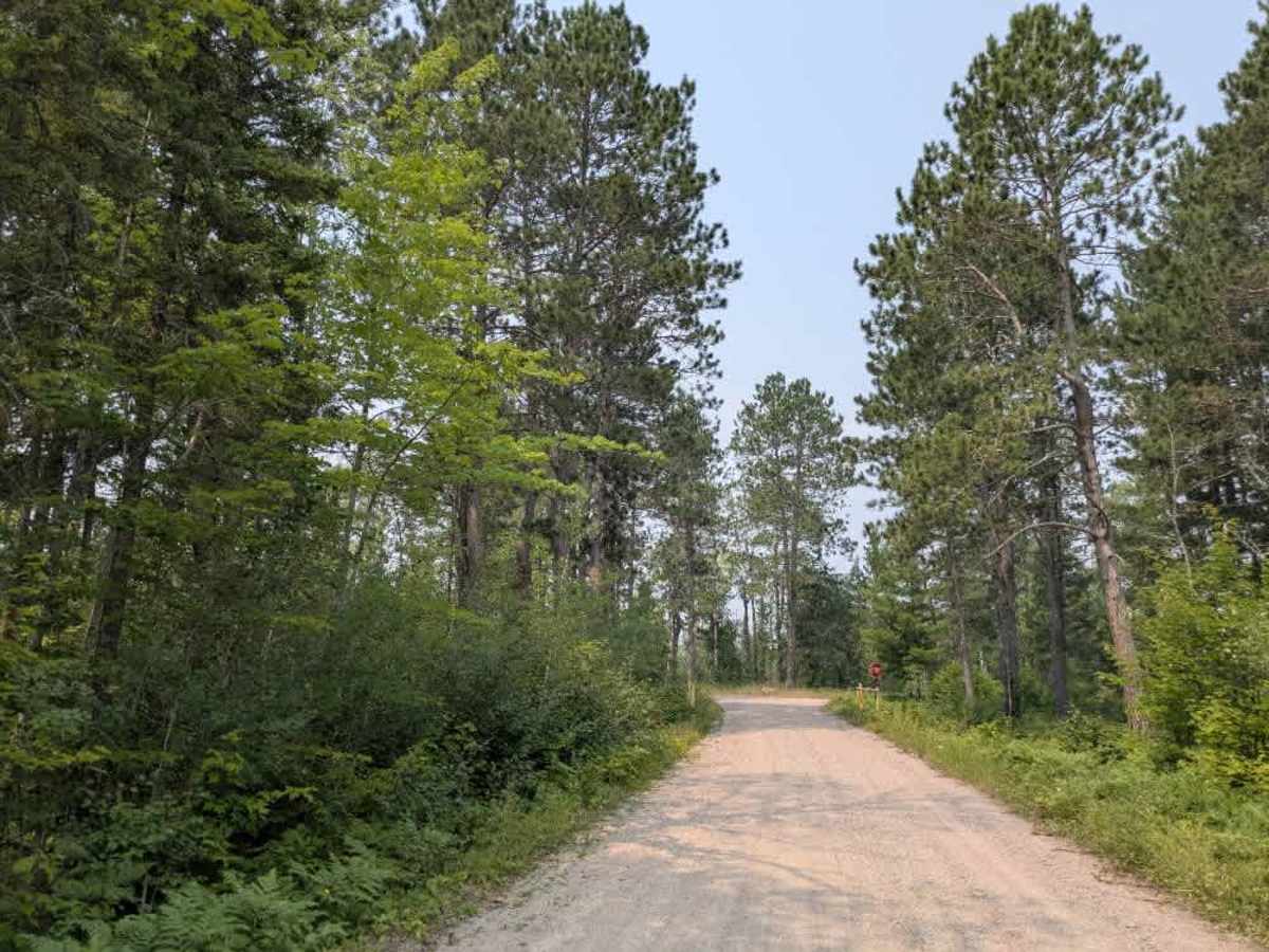 Birch Lake photo 6