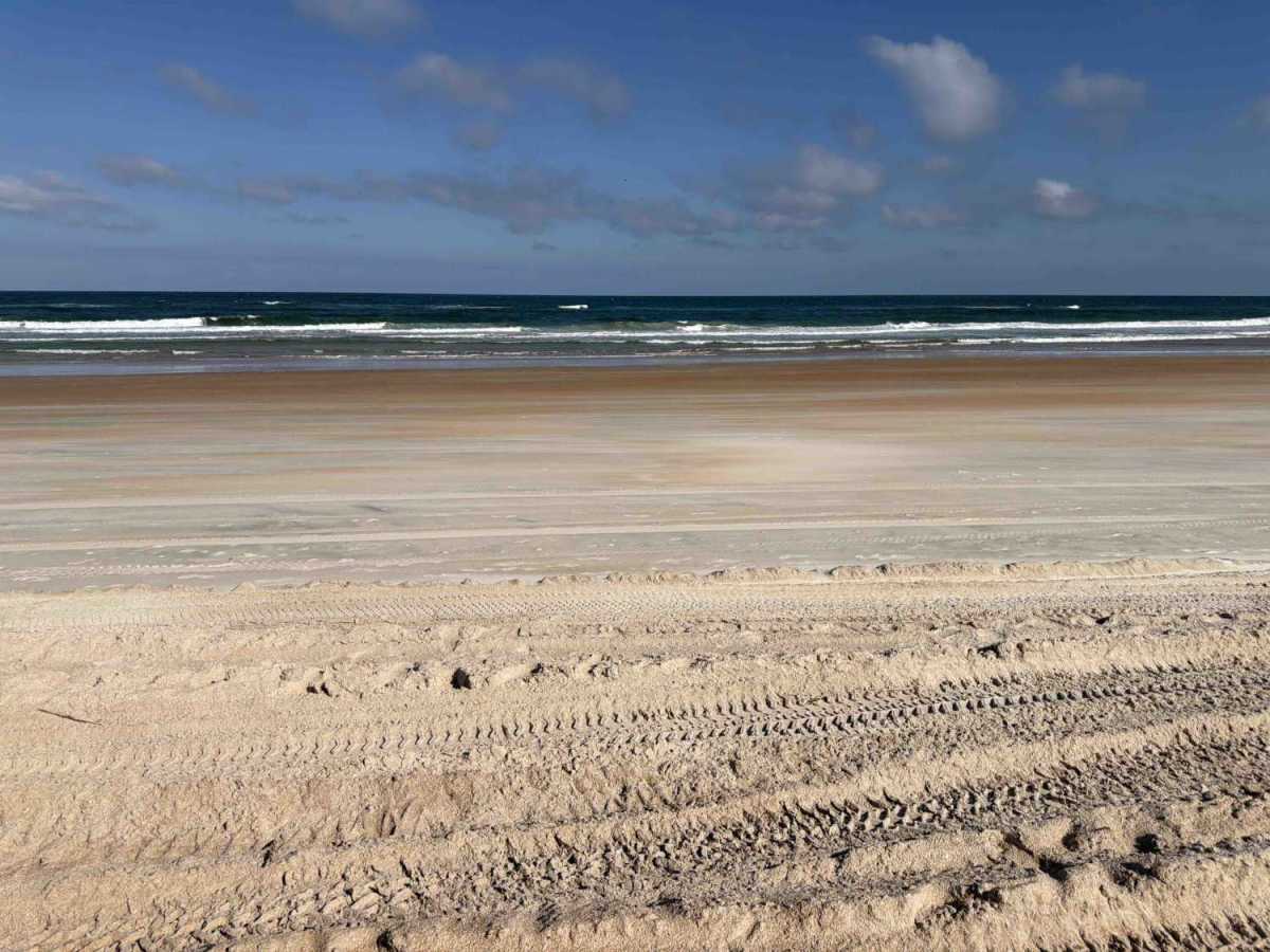 North Ormond Beach photo 3