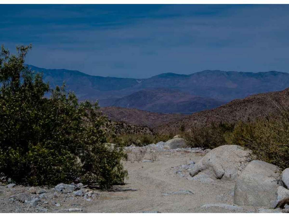 Nolina Wash Road photo 5