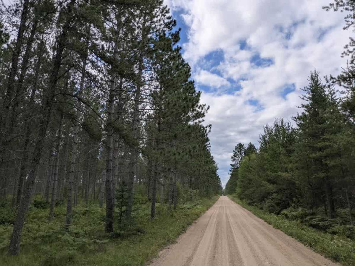 River Forest Road trail photo
