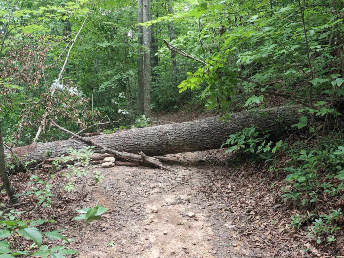 Sheltowee Trace West photo 5
