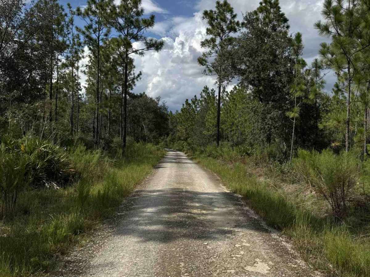 Fire Road photo 2