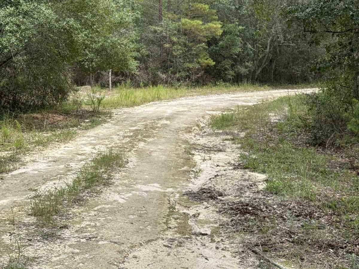Scrub Road photo 5