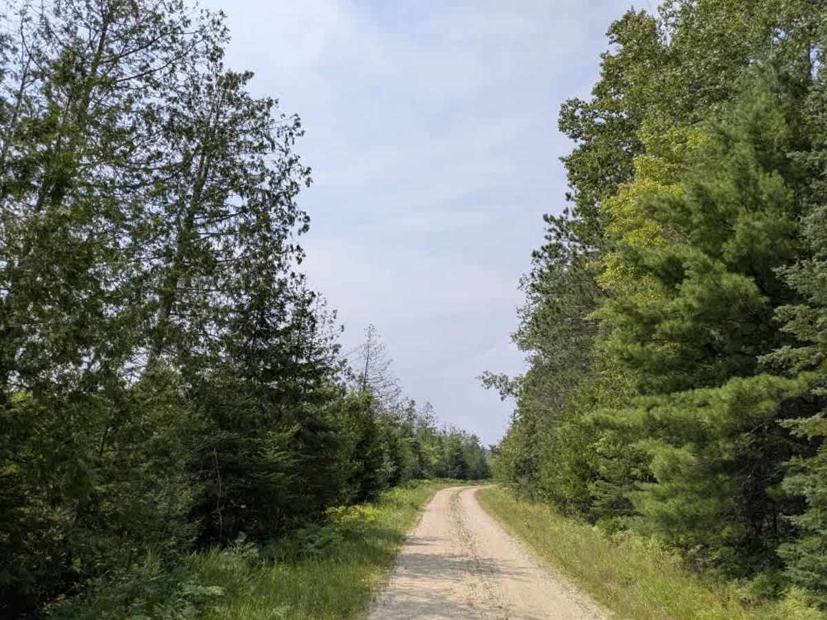 Ash Lake Road photo 6