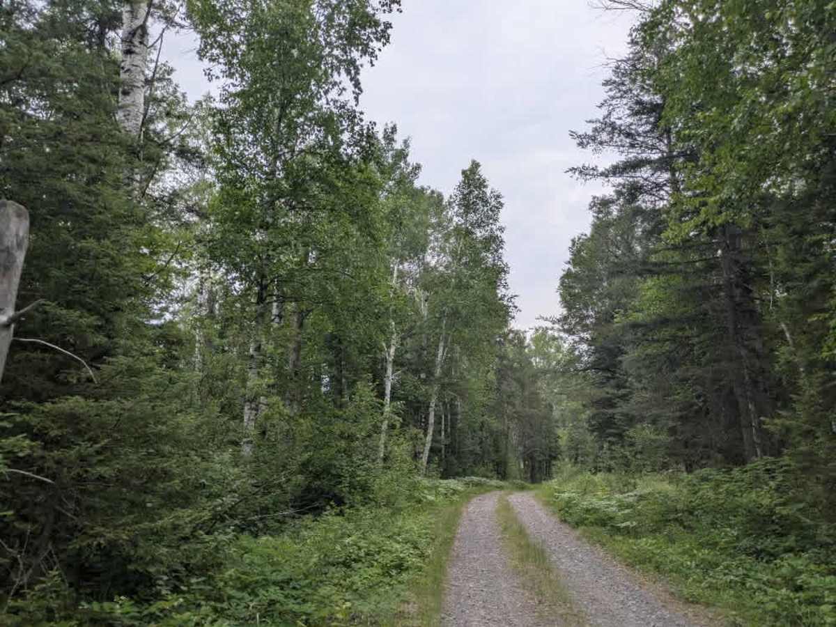 Sand River trail photo