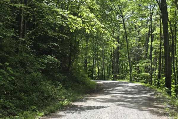 Round Mountain Road
