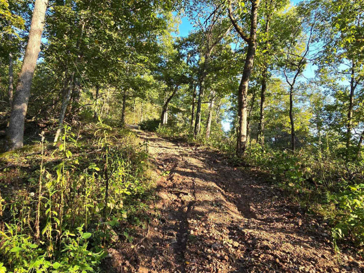 Cedar Ridge photo 3
