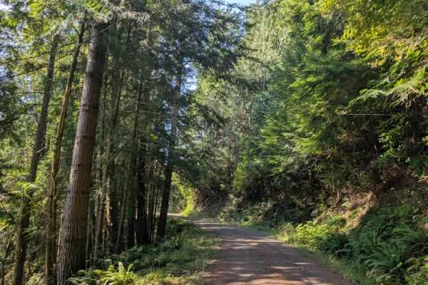 David Ridge Road