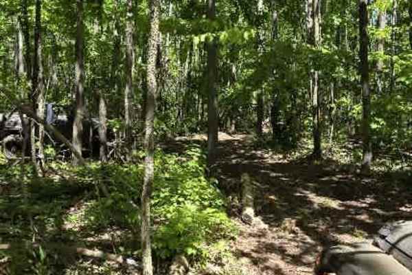 DJ's Hill Climb