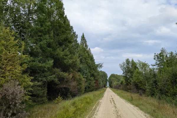 Budris Road