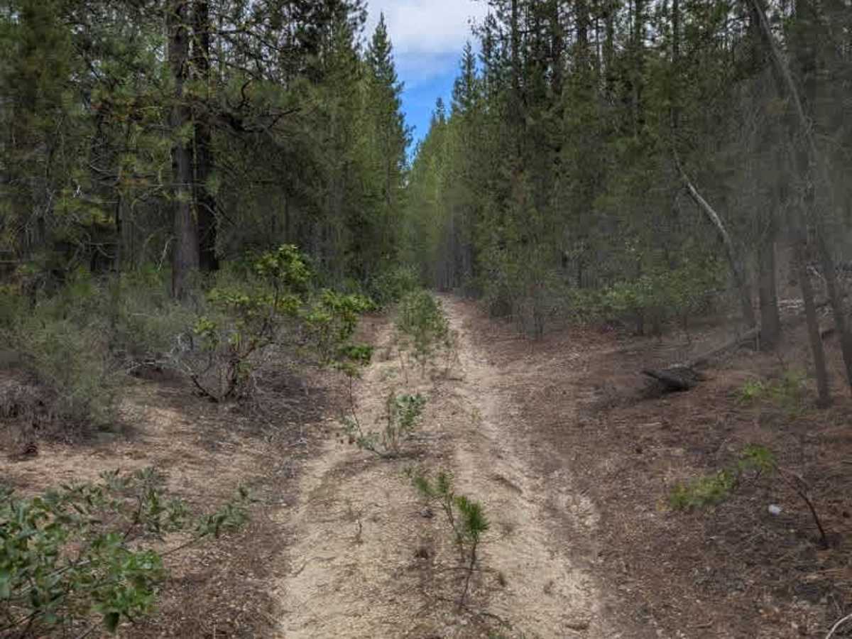 FS 9407641 trail photo